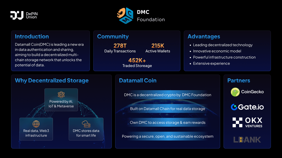 Datamall Coin Infographic