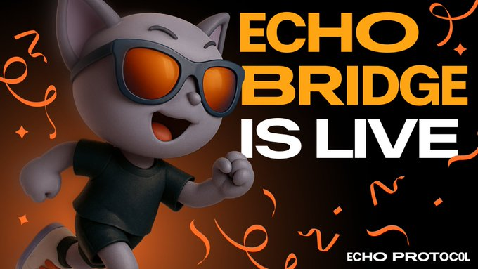 Echo Protocol Analysis: BTC Liquidity Aggregation and the Yield Layer of the Move Ecosystem