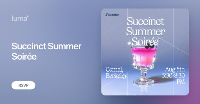 Succinct: Decentralized Zero-Knowledge Proof Network Analysis